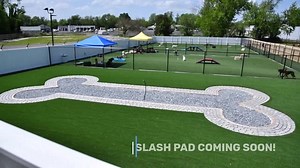 A sneak peek into our resort until we can start in person tours again. For now, its pups only! #fetchfamily *** PLEASE SHARE *** | Fetch Family Pet Resort