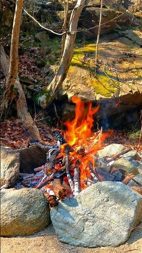 🔥 Cozy Campfire in the Forest | Crackling Fire Sounds for Relaxation