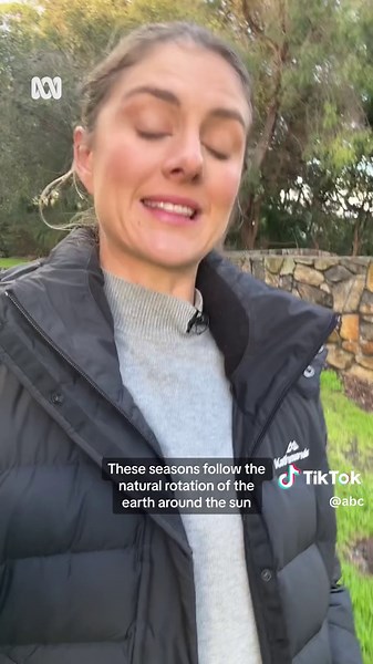 Winter starts now, right? Depends which calendar you use ☃️ #AbcWeather #WinterSolstice #Winter #Season