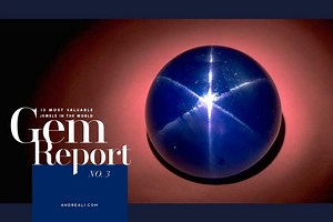 13 Of The Most Valuable Jewels In the World - 3rd Star Of India — ANDREA LI