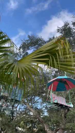 Beach boys and Disney World water park go great together! ❤️ | Joe Tiller