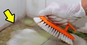 8 Powerful Natural Ingredients To Get Rid Of Mold In 2023