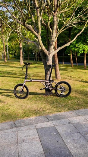 Due to the overwhelming response on the carbon fork series and Java not being able to keep up with the demand, we have decided to launch the Allu Fork variant of 20