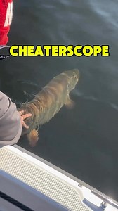 why I fish solo 😂 (Beginner’s luck = POSSIBLE STATE RECORD) #musky #muskyfishing #muskellunge #pike #pikefishing | Dkam Monster Fishing.