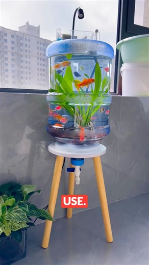DIY Mini Aquarium Setup Using Water Can #AquariumDIY #CreativeHome #SmartSetup | Artify World