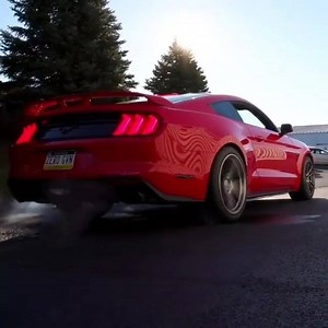 Line lock work great Mustang Passion | Mustang Passion