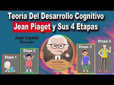 Teoría del Desarrollo Cognitivo de Jean Piaget y sus 4 Etapas