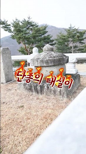 여러분 경북 성주에도 단종이 있다는 사실 아셨나요? 👑