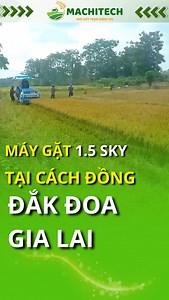 39K views · 233 reactions | Máy gặt lúa mini 1.5 Sky chuyên sình lầy có mặt tại Đắk Đoa - Gia Lai #maygatlua #maygatsinhlay #maygatmini | Nguyễn Trung Hiếu | Facebook