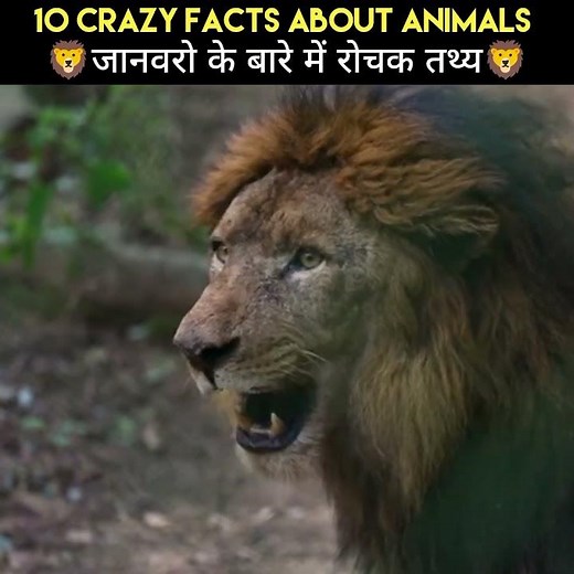 Crazy Facts About Animals 🐸🦘 | Amazing Facts | Random Facts | Mind Blowing Facts #shorts #facts