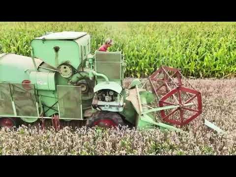 Claas Columbus na Hané 2025