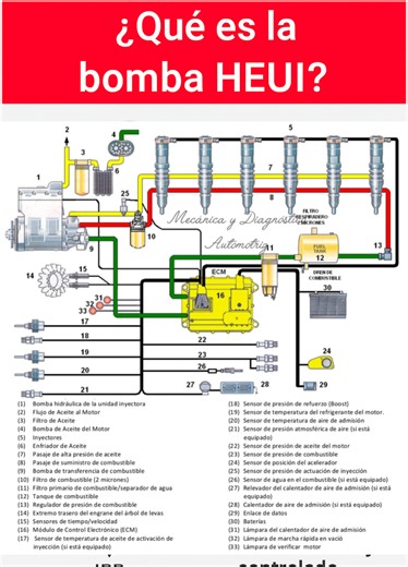 La bomba HEUI es una bomba de alta presión de aceite que forma parte del sistema HEUI, un sistema de inyección diésel que combina: 🔹 Actuación hidráulica (por presión de aceite) 🔹 Control electrónico (por la ECU) Se diferencia de otros sistemas porque no necesita un árbol de levas para accionar los inyectores, sino que utiliza aceite a alta presión generado por esta bomba para inyectar el diésel. #heui #combustibles #caterpillar #forddiesel | Mecánica y diagnostico Automotriz
