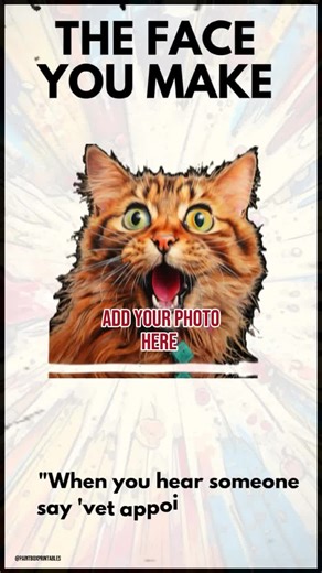 *NO 3 😂🐾 Funny Reaction Template – “The Face You Make When You Hear ‘Vet Appointment’… and It’s Not Even Your Turn” 😳* Capture that exact moment of panic, confusion, and sudden self-reflection with this funny reaction face template! The caption reads: “the face you make when you hear someone say ‘vet appointment’ and it’s not even your turn.” 🐶😬 You can personalise the video by adding your own photo, turning your expression into the perfect reaction — shocked, guilty, or trying to act compl