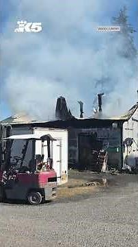 Goats rescued from massive Whatcom County barn fire