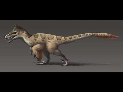 Sound Effects - Utahraptor