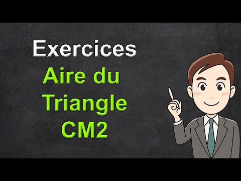 Aire du triangle exercices cm2