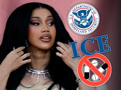 Cardi B's Stripper Past Mocked by Homeland Security After Her ICE Diss