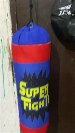 The Benefits of Using a Punching Bag for Kids
