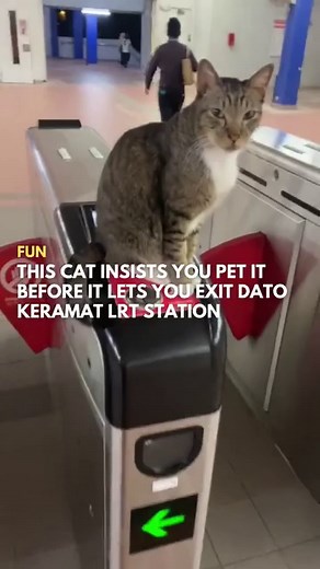 23K views · 316 reactions | Photographer and content creator Sou Aras...