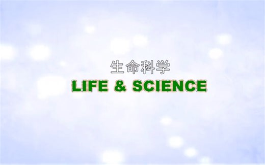 纪录片 生命科学