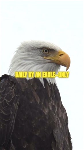 The Incredible Story Of Prometheus And Fire