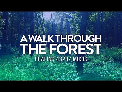 Serene Forest Bathing | 432Hz Calming Ambience for Relaxation & Mindfulness