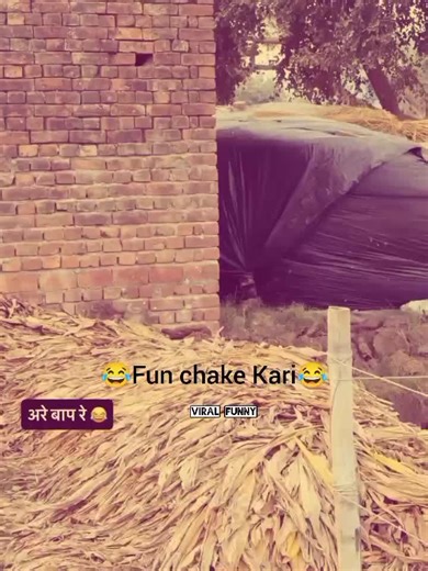 Funny Sindhi Status Songs to Brighten Your Day