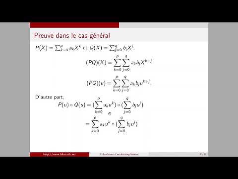 Polynômes d'endomorphismes