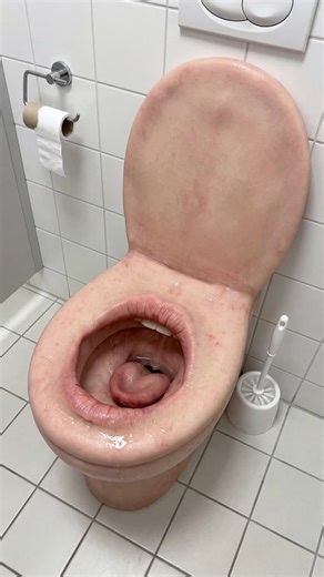 The weirdest toilet ever 🚽 | toilet plunger