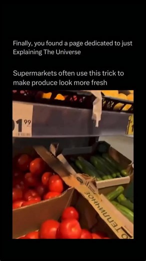 Explaining The Universe on Instagram: "@ExplainingTheUniverse teaches you something NEW everyday day 🧠💫 Many supermarkets use specialized lighting to make fruits, vegetables, and other produce appear fresher and more appealing to customers. This is done by carefully choosing the color temperature and intensity of the lights. For example, warm white or slightly reddish lights make tomatoes, apples, and meats look richer and more vibrant, while cool white lights enhance the greens of lettuce and
