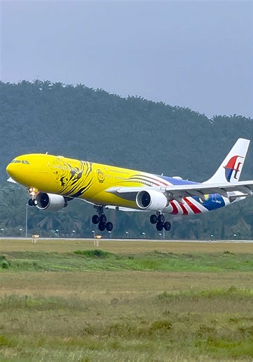 Malaysia Airlines' A330-323 in Malayan Tiger Livery