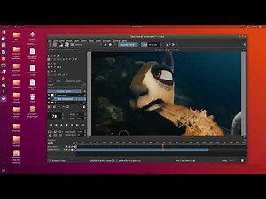 Animator Video Reference Plugin