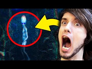 Facing my biggest fear