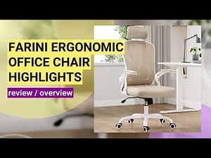 Farini Ergonomic Office Chair Review: The Ultimate Comfort Test