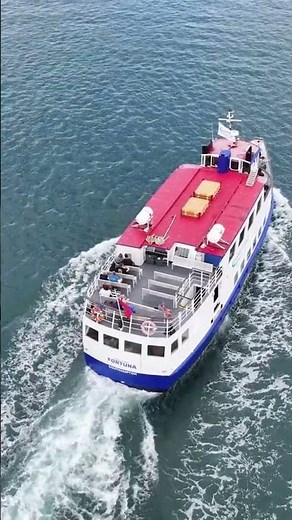 Fortuna cruising back in to Poole Harbour from Swanage