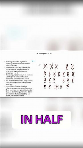 Non-Disjunction: Causes, Risks, and Genetic Disorders