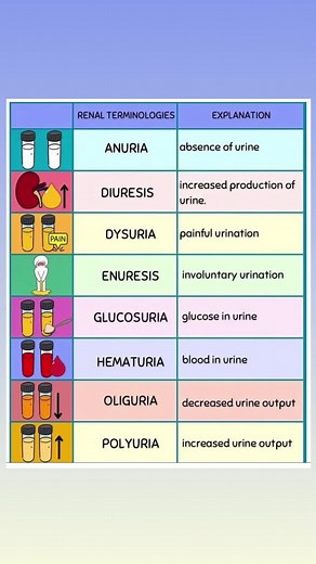 Understanding Renal Terminologies in Nursing