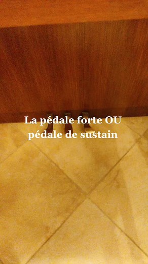 Maxence Piano sur TikTok