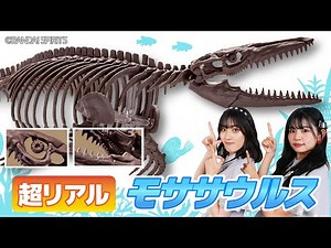 【新商品開封レビュー✨】全長約350mm！迫力満点の「モササウルス」が登場！🦖