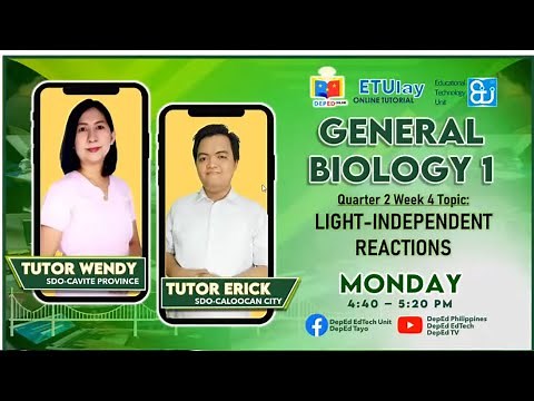Light-Independent Reactions || General Biology 1 || Quarter 2/4 Week 4