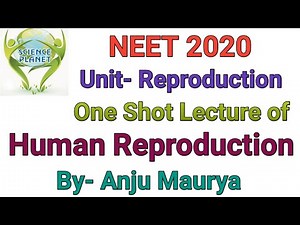 Human Reproduction in One Shot!! By- Anju Maurya