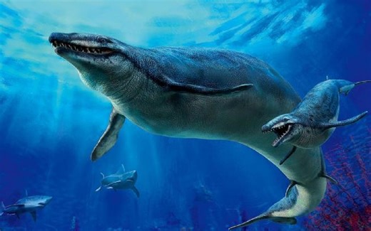 龙王鲸Basilosaurus
