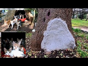 The natural shelter gifted by nature to mother cats was destroyed with concrete.