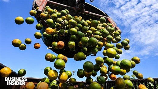 Boosting Citrus Health with Monsilicic Acid | MAYANK (MIKE) PATEL posted on the topic | LinkedIn