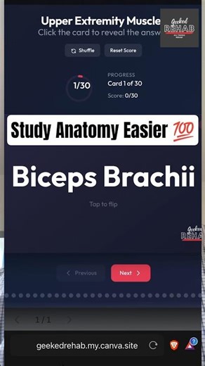 New Digital Anatomy Flashcards for Students (Only $2.99)!! #youtubeshorts #fyp #anatomy #muscles
