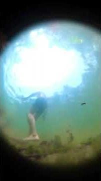 Lost my gopro fusion in goa #gopro #goprofusion