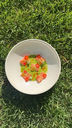 Salmon Belly Crudo : salsa verde tigers milk, kiwano melon, puffed quinoa