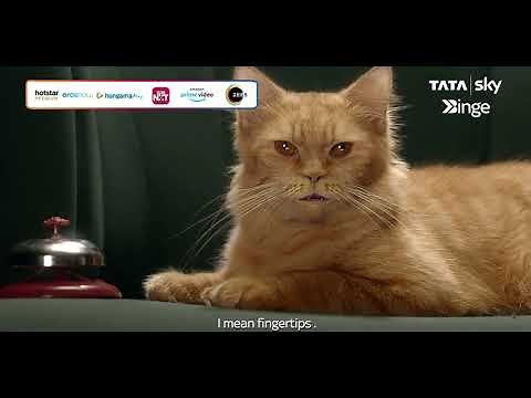 Tata Sky Binge Offer | Aggregation of OTT apps | 30 days free trial | Free Amazon Fire TV stick