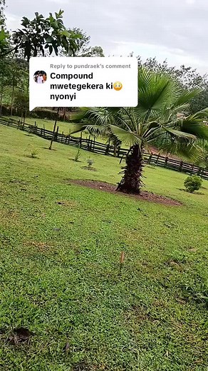 Replying to @pundraek oyina enyonyi🤭🥰#fppppppppppppppppppp #fppppppppppppppppppp #fppppppppppppppppppp #fppppppppppppppppppp #fppppppppppppppppppp #fppppppppppppppppppp @Yoghurt🥤💦 winnie wa mummy💚