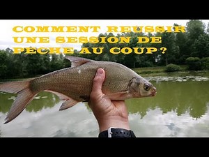 Magnifique Session de pêche au coup ! Beaucoup de poissons ! Technique et conseils